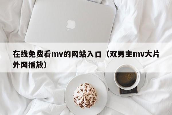 在线免费看mv的网站入口(双男主mv大片外网播放)