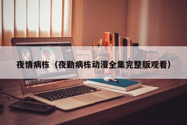 夜情病栋(夜勤病栋动漫全集完整版观看)