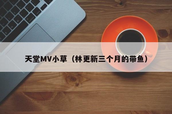 天堂MV小草(林更新三个月的带鱼)
