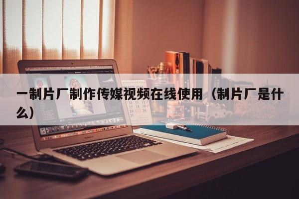 一制片厂制作传媒视频在线使用(制片厂是什么)