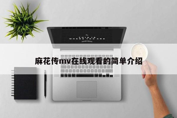 麻花传mv在线观看的简单介绍